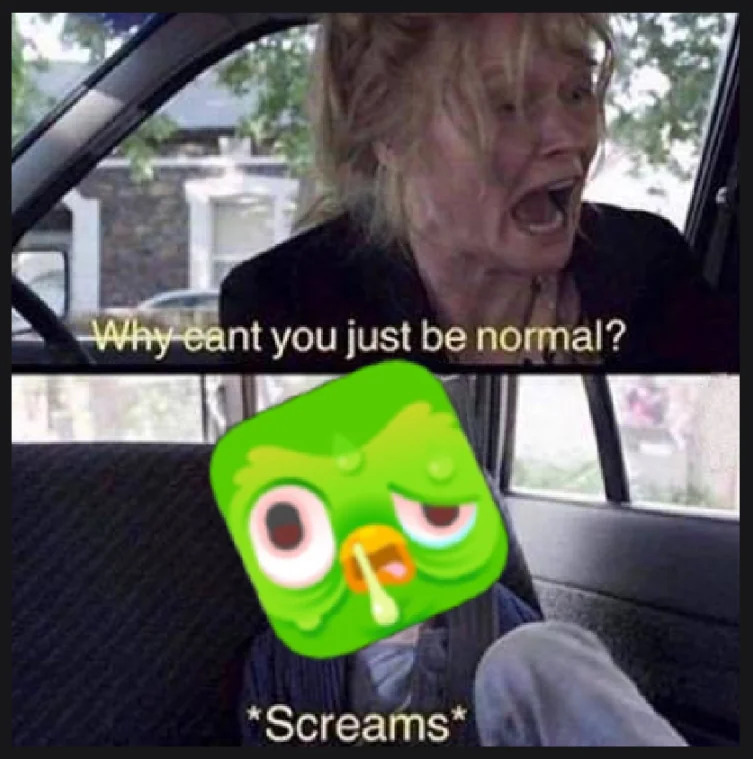 Meme showing a woman yelling, “Why can’t you just be normal?” followed by the sick-looking Duolingo owl screaming in the back seat.