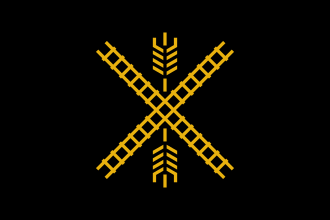The flag for Newton, Kansas, featuring a black background with two gold railroad tracks crossing diagonally in an X shape, and stylized gold wheat stalks positioned above and below the intersection.